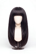 Silk Straight Fringe Layered Wig