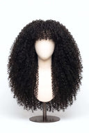 Kinky Curly Fringe Glueless Virgin Human Hair Wig with HD Lace and Pre-Plucked Hairline by Kora Strand
