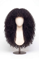 Kinky Curly Fringe Layered Glueless Virgin Human Hair Wig with HD Lace and Pre-Plucked Hairline by Kora Strand
