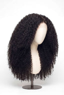 Kinky Curly klebefreies Humanhaarperücke mit klar definierter Textur von Kora Strand